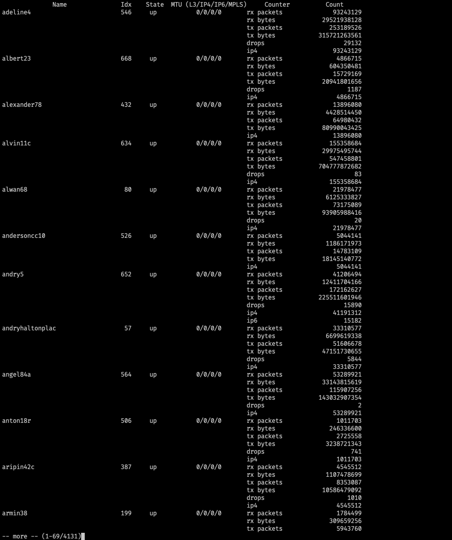 PPPoE Interface on VPP Data Plane